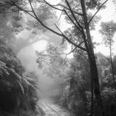 B&W landscape